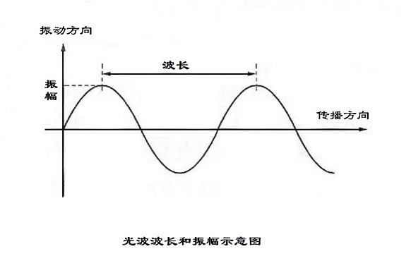 1667664460547747.jpg 波长和振幅.jpg