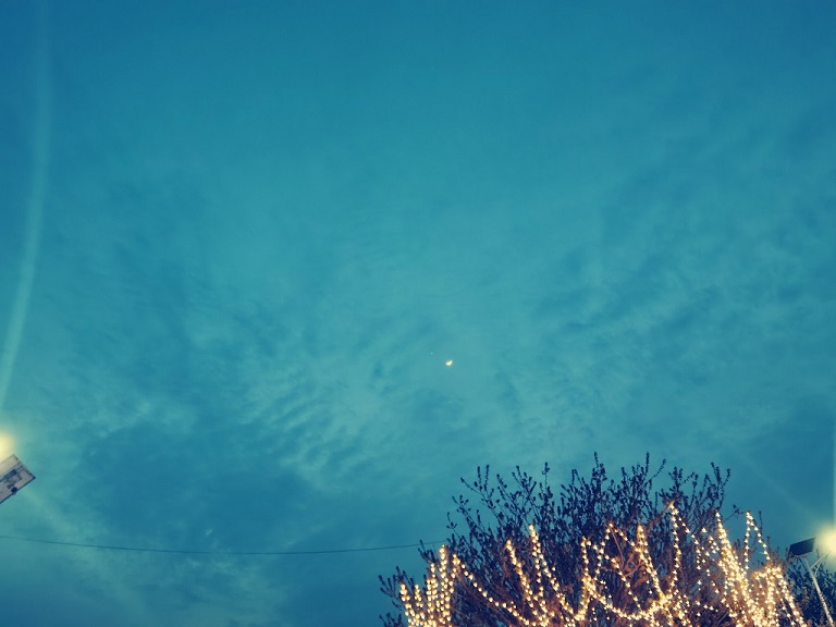 1682276475785042.jpg 0423金星伴月1.jpg